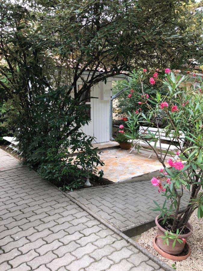 Hotel Szem-S Vendeghaz Balatonszárszó Zewnętrze zdjęcie